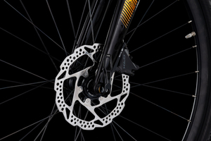 Bicykel 4EVER GROMVEL RACE - XL, dark wine/bronze