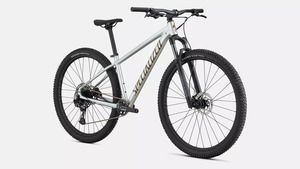 Bicykel Specialized ROCKHOPPER EXPERT - 29, gloss silver dust/satin burnt gold metallic