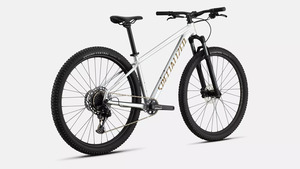 Bicykel Specialized ROCKHOPPER EXPERT - 29, gloss silver dust/satin burnt gold metallic