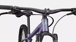 Bicykel Specialized ROCKHOPPER COMP - L, Satin Mauve Metallic/Fjord Metallic