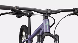 Bicykel Specialized ROCKHOPPER COMP - 29, satin mauve metallic
