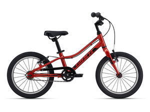 Bicykel GIANT ARX 16 F/W