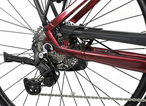 Elektrobicykel APACHE Sota 1 720Wh - M, vínová