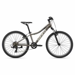 Bicykel GIANT XtC Jr 24 Metal