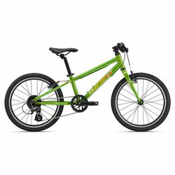 Bicykel GIANT ARX 20 Metallic Green