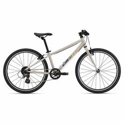 Bicykel GIANT ARX 20 Mushroom